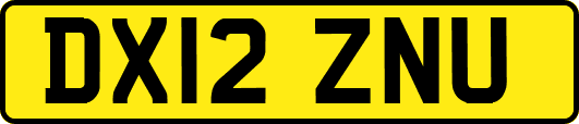 DX12ZNU