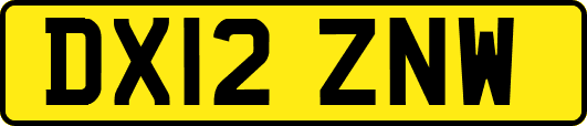 DX12ZNW
