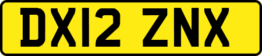 DX12ZNX