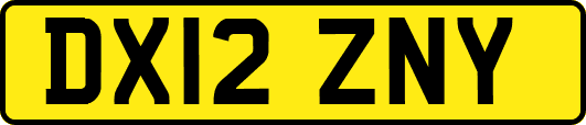 DX12ZNY