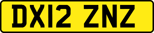DX12ZNZ