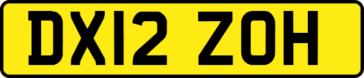 DX12ZOH