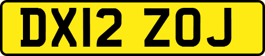 DX12ZOJ