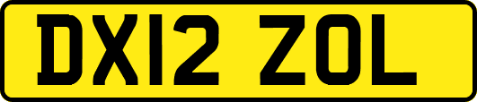 DX12ZOL