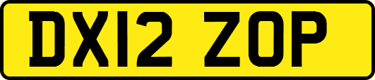 DX12ZOP