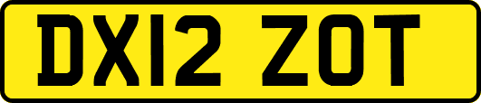 DX12ZOT