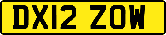 DX12ZOW