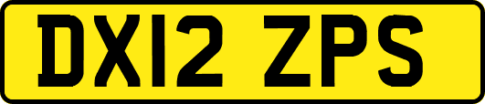 DX12ZPS