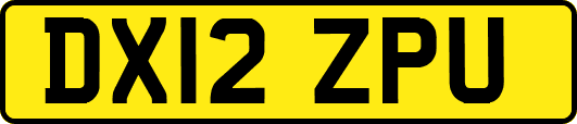 DX12ZPU