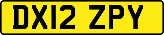 DX12ZPY