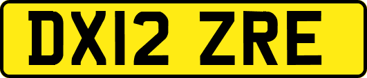 DX12ZRE