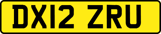 DX12ZRU