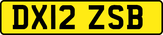 DX12ZSB