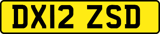 DX12ZSD
