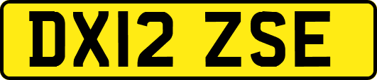 DX12ZSE