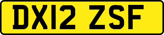 DX12ZSF