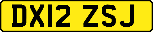 DX12ZSJ