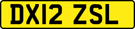 DX12ZSL