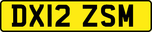 DX12ZSM