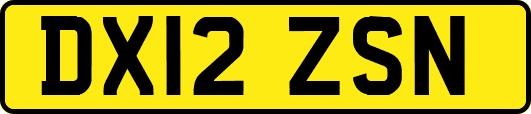 DX12ZSN