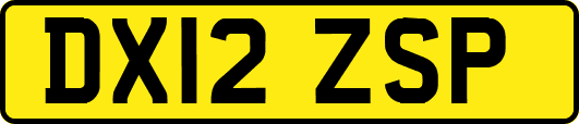 DX12ZSP