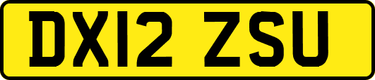 DX12ZSU