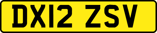 DX12ZSV