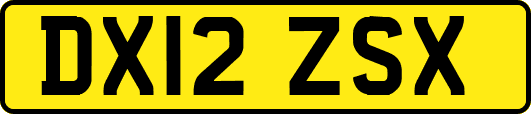 DX12ZSX