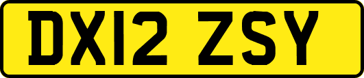 DX12ZSY