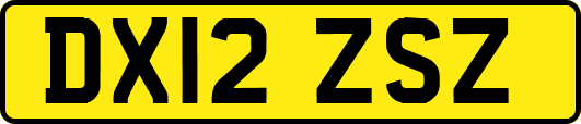 DX12ZSZ