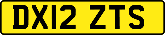 DX12ZTS