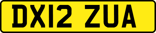 DX12ZUA