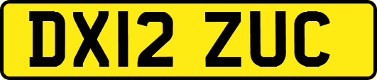 DX12ZUC