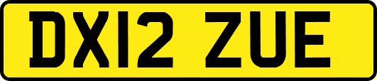 DX12ZUE