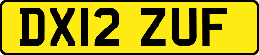 DX12ZUF