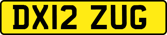 DX12ZUG