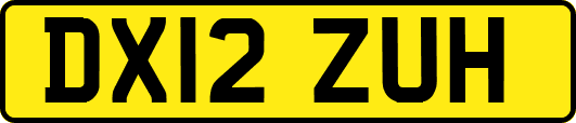 DX12ZUH