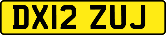 DX12ZUJ