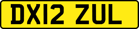 DX12ZUL