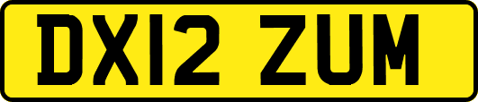 DX12ZUM