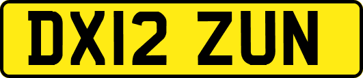DX12ZUN