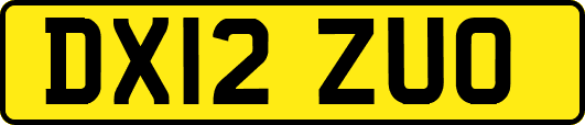 DX12ZUO