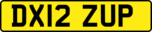 DX12ZUP