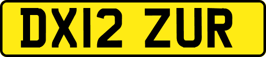 DX12ZUR