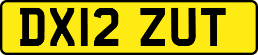 DX12ZUT