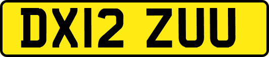 DX12ZUU