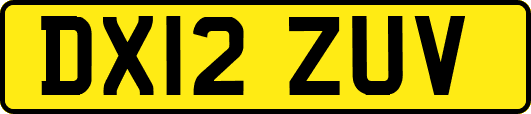 DX12ZUV