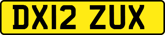 DX12ZUX