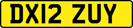 DX12ZUY