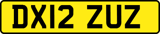 DX12ZUZ